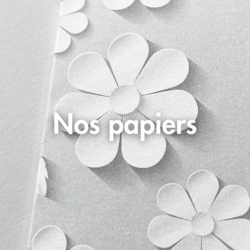 Nos papiers